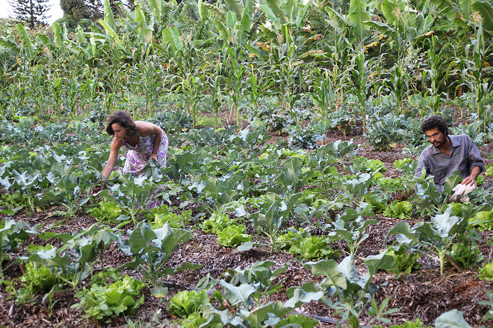 Portabiglietti Da Scrivania Campo Marzio - Similpelle Blu Oceano, 11x5,5x8,5 Cm, Elegante E Pratico - Foto 2